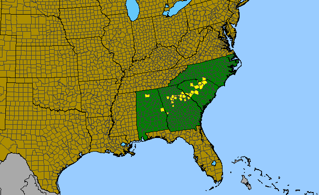 The range of Sedum pusillum